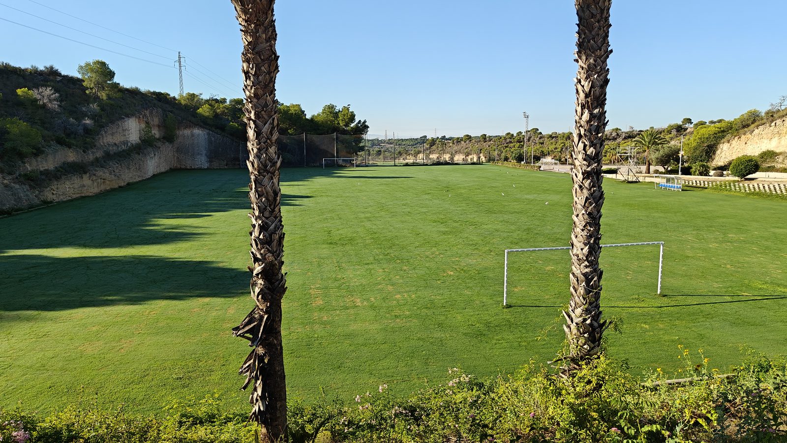 Terrain de football en gazon entre les palmiers, dans la zone sportive de Campoamor