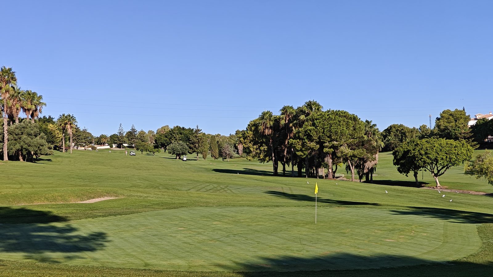 Large fairway et green du Real Club de Golf Campoamor, bordés de pins et de palmiers