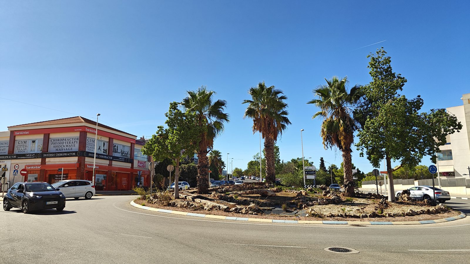 Palm-planted roundabout in Los Dolses